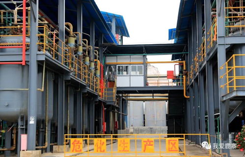 年銷(xiāo)售額超10億元 這家鹿寨企業(yè)沖刺上市